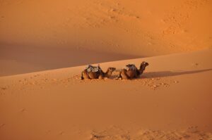 7 Mejores Viajes familiares a Marruecos: Guía Inolvidable 2026