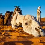 Excursión de 4 días al desierto de Merzouga desde Marrakech