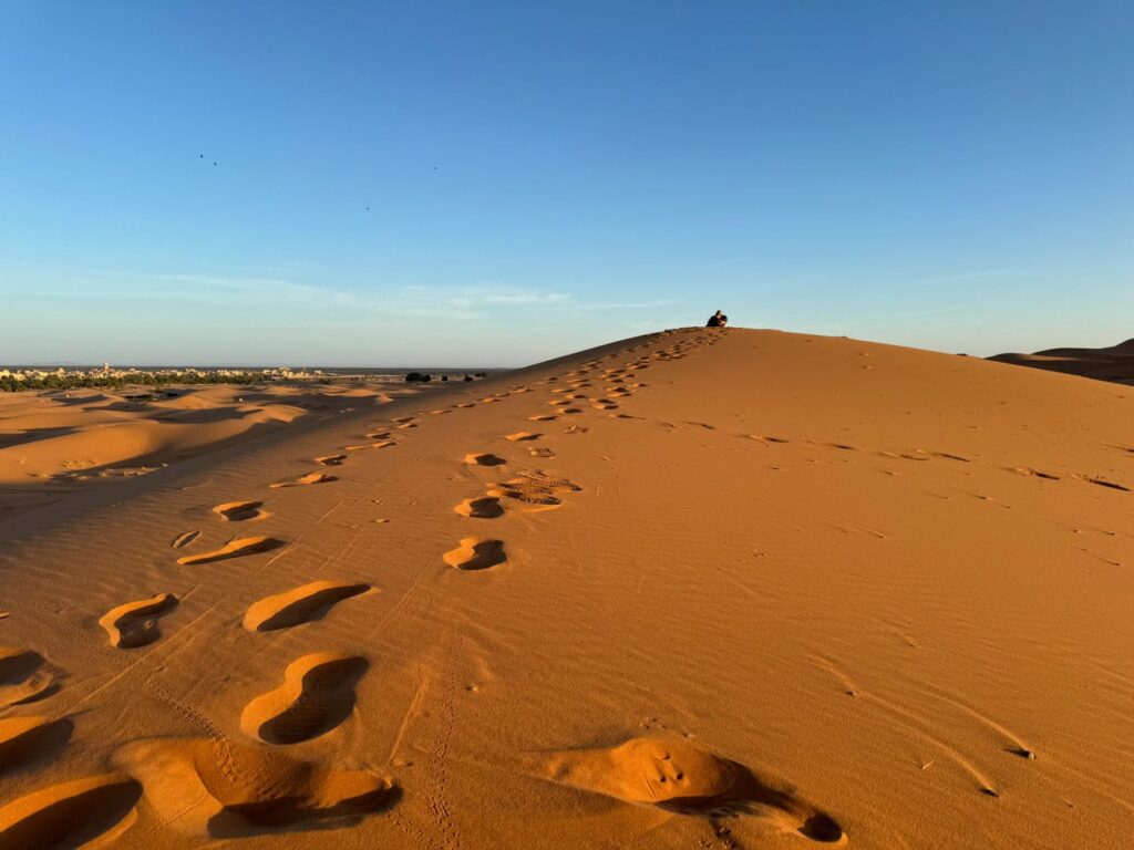 Excursión 4 Días al Desierto