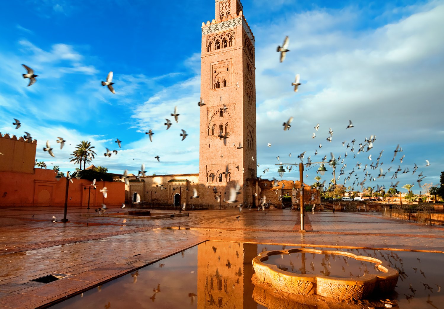 Mejores Circuitos Casablanca y Tours al Desierto en Marruecos