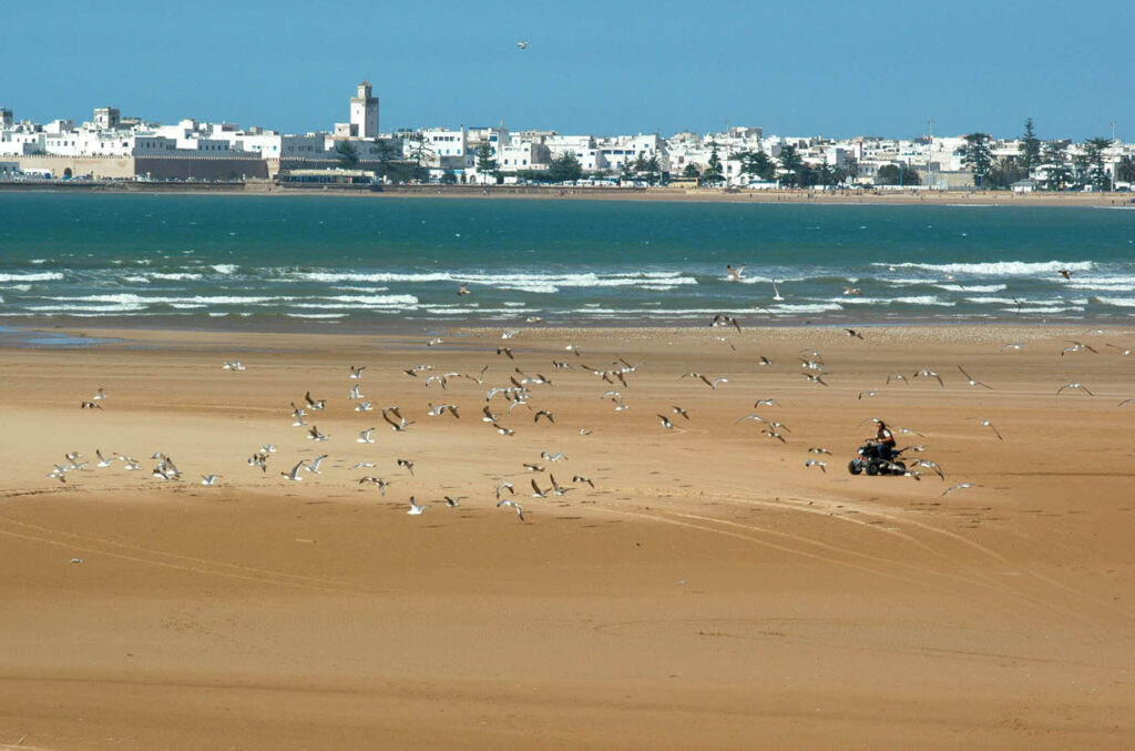 Viaje Desde Casablanca 10 Días