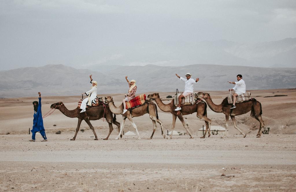 camello en el Desierto de Agafay, Marrakech