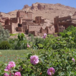 tours desde Marrakech