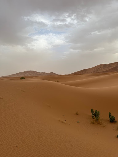 Photo from customer review