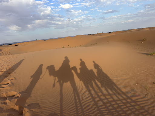 Photo from customer review