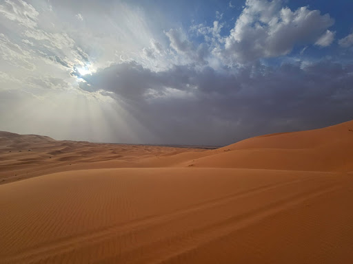 Photo from customer review