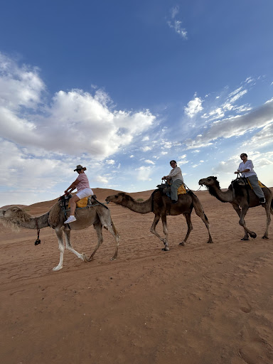 Photo from customer review