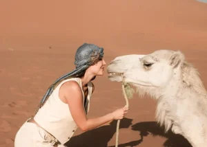 Tours y Rutas por Marruecos