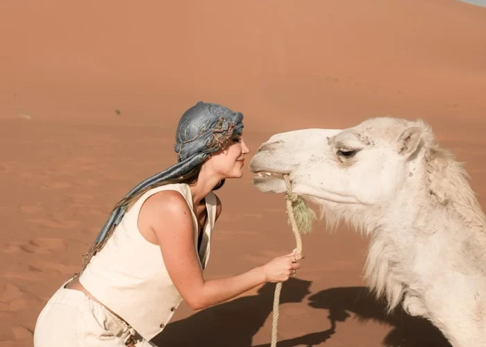 Viaje a Marruecos Organizado
