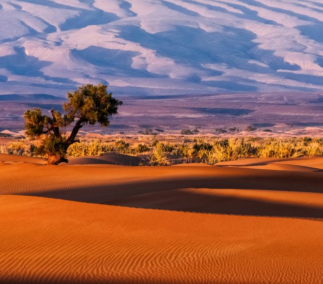 Tours 3 Días al Desierto