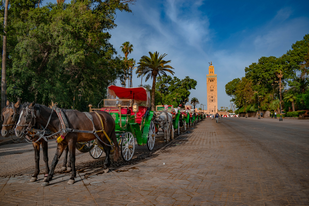Marrakech itinerario 2 días