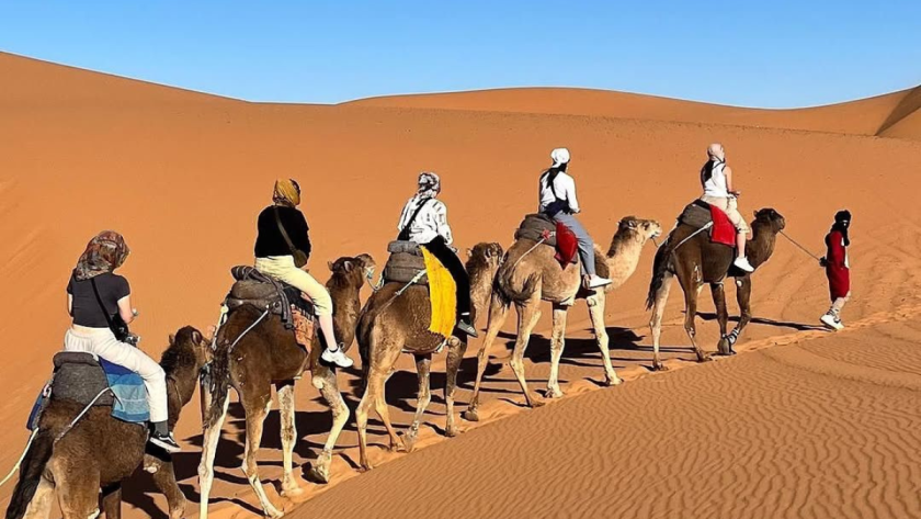 Tours por el Desierto de Marruecos: Guía Completa del Sahara Marroquí