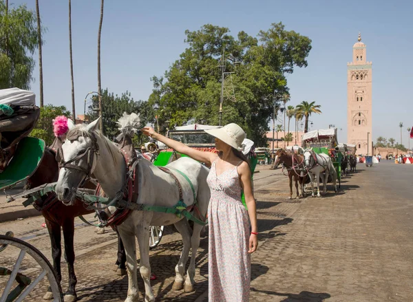 8 Días Tour Casablanca Fez y Marrakech -jamaa-fna
