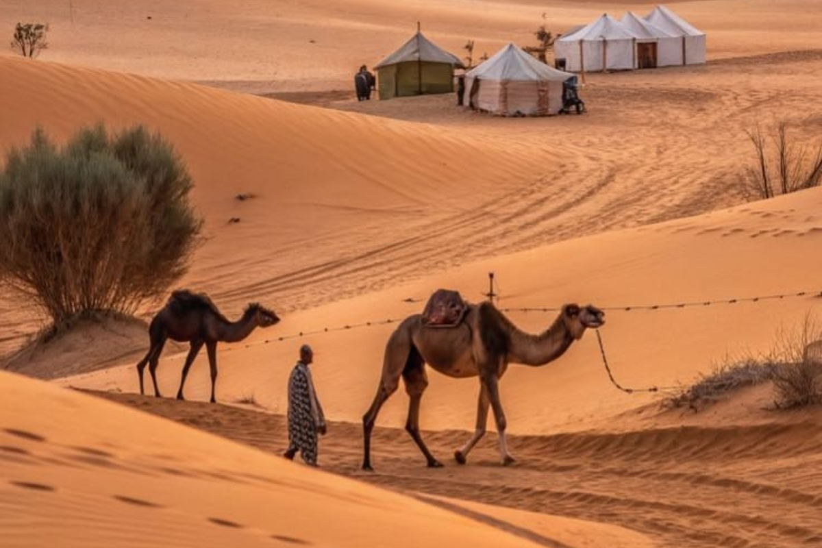 viaje de 7 dias desde tanger al sahara
