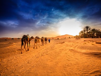 Sahara Marruecos: Tours Privados y Viajes al Desierto 2026