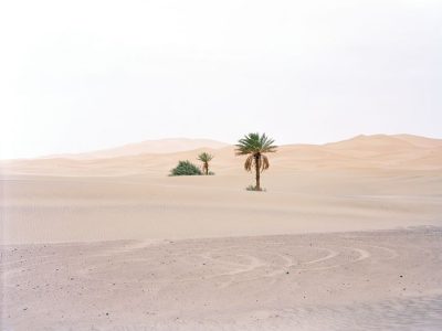 12 Días Por Marruecos Desde Fez