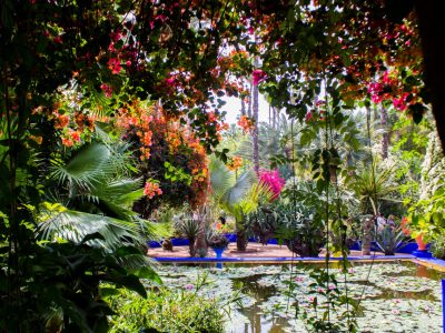 5days itinerary in marrakech