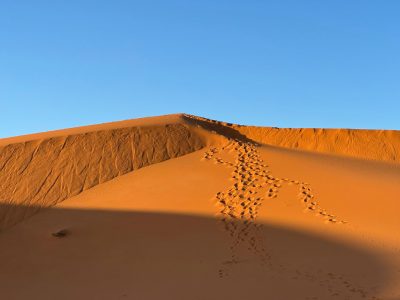 Excursión de 4 días al desierto 7