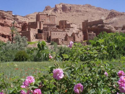 12 Días Por Marruecos Desde Fez