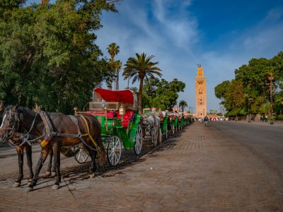 Tour de 7 Días desde Fez