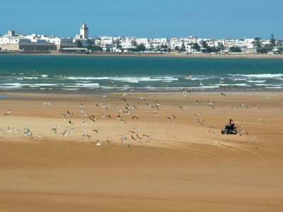 Viaje Desde Casablanca 10 Días